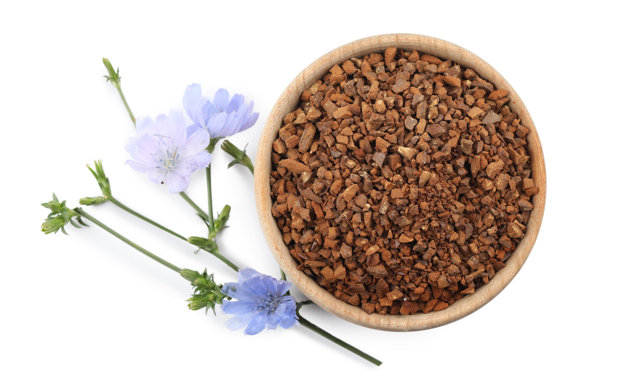 INGREDIENT SPOTLIGHT - CHICORY ROOT EXTRACT 101